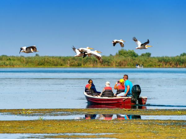 Touristen beobachten Pelikane am Donaudelta